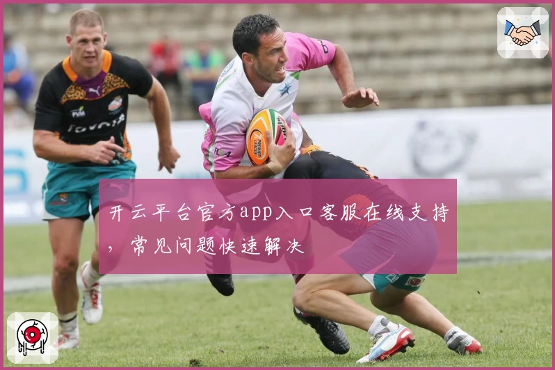 开云平台官方app入口客服在线支持,常见问题快速解决